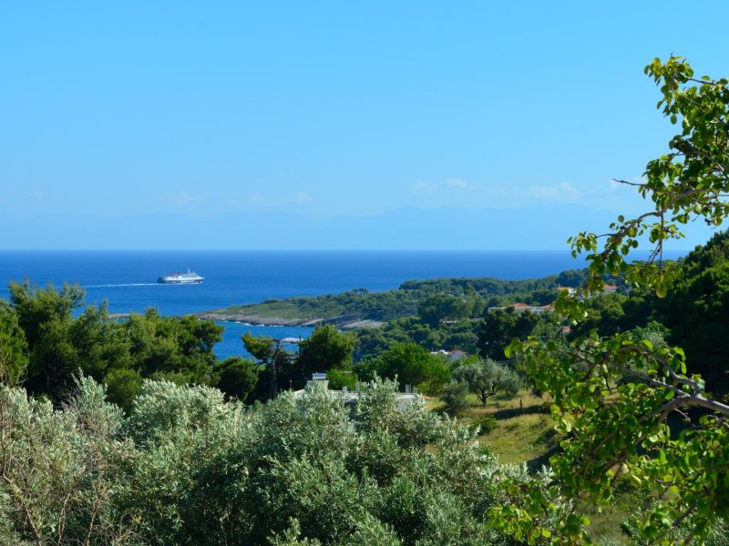 Myrtilos Cottage - Εξωτερική θέα 2
